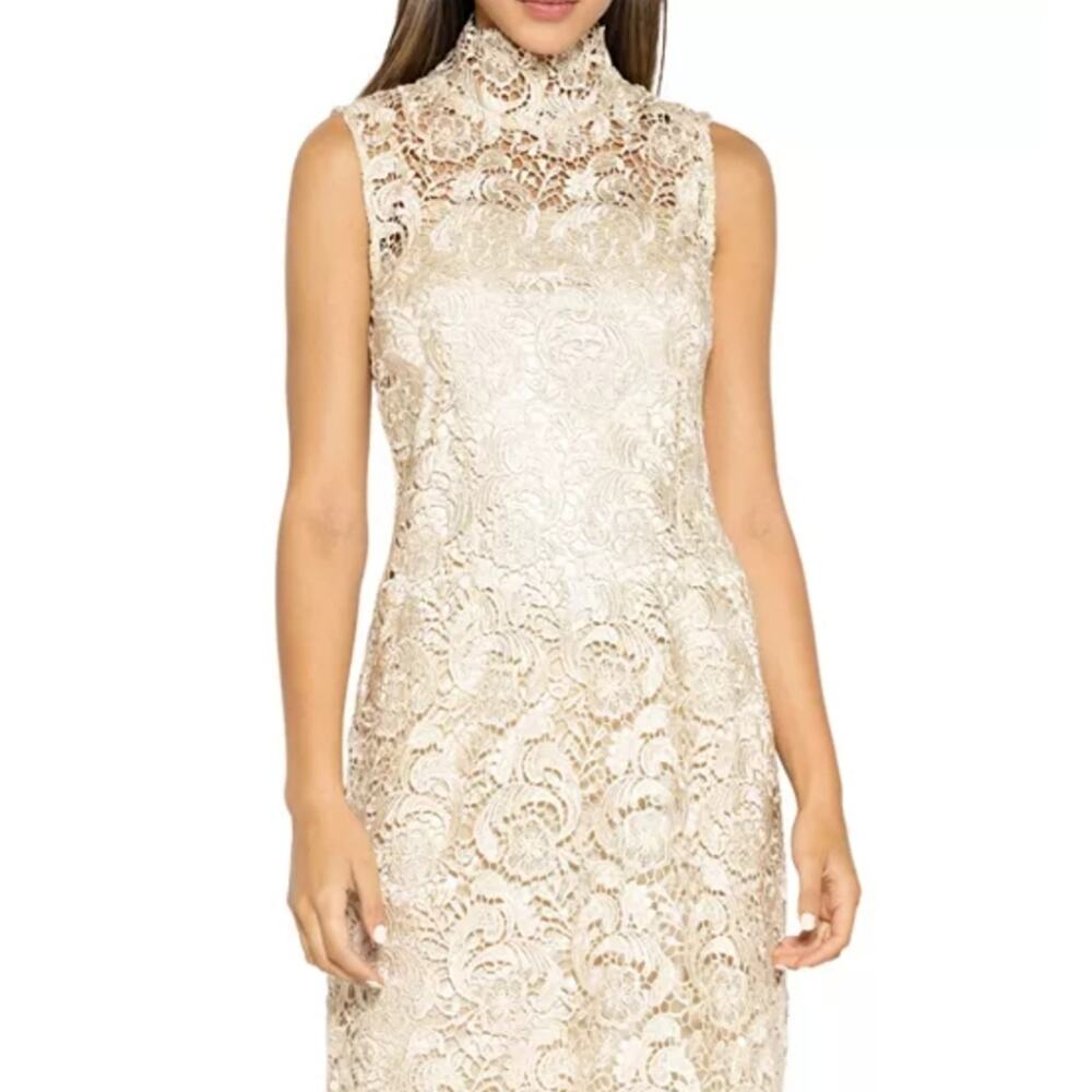 NWOT GRACIA Champagne Floral Lace Cocktail Sheath Dress Wedding Guest Elegant - Picture 2 of 16